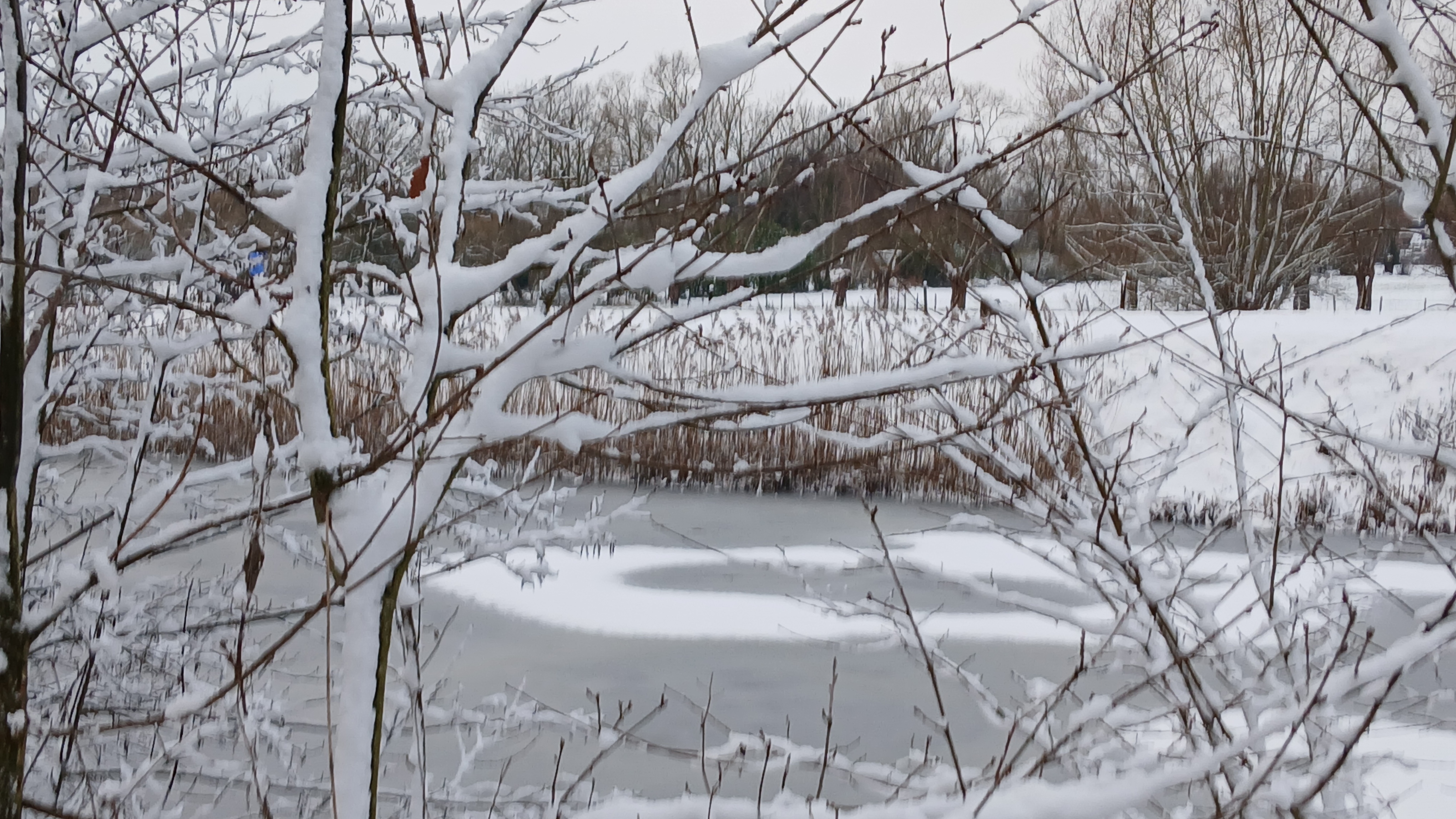   Nog een prettig eindejaar