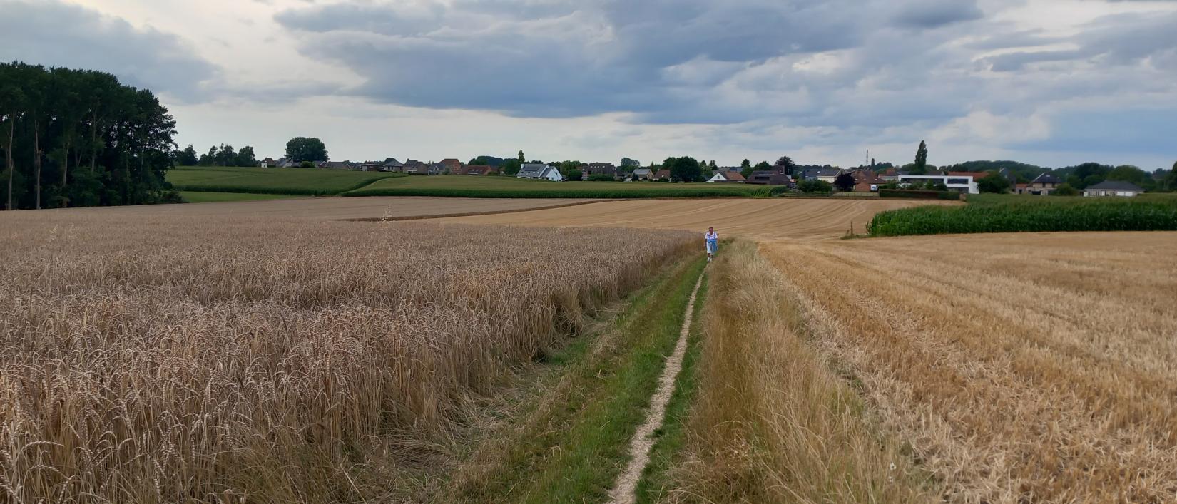 Bij zonsondergang maken we een wandeling.
