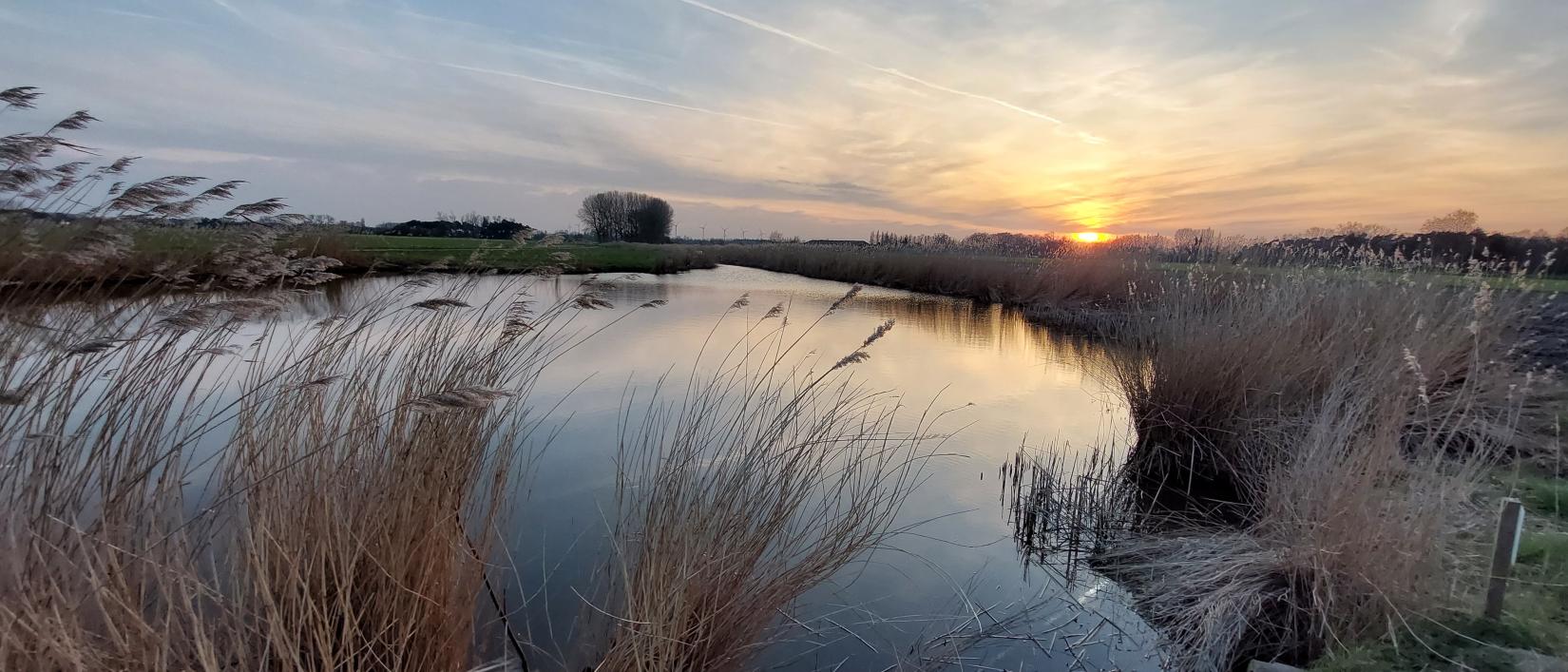Zonsondergang aan de Sint-Elooiskreek