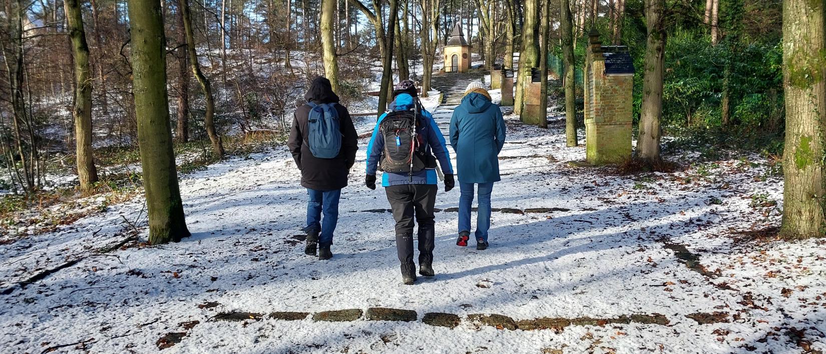 Wandeling Snepkensvijvers