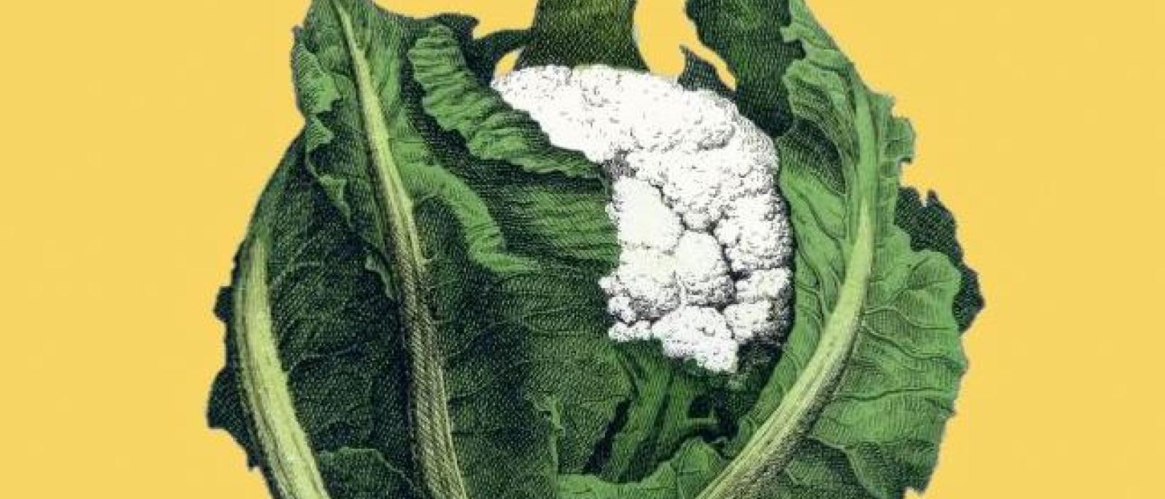 Museum van de Groentestreem