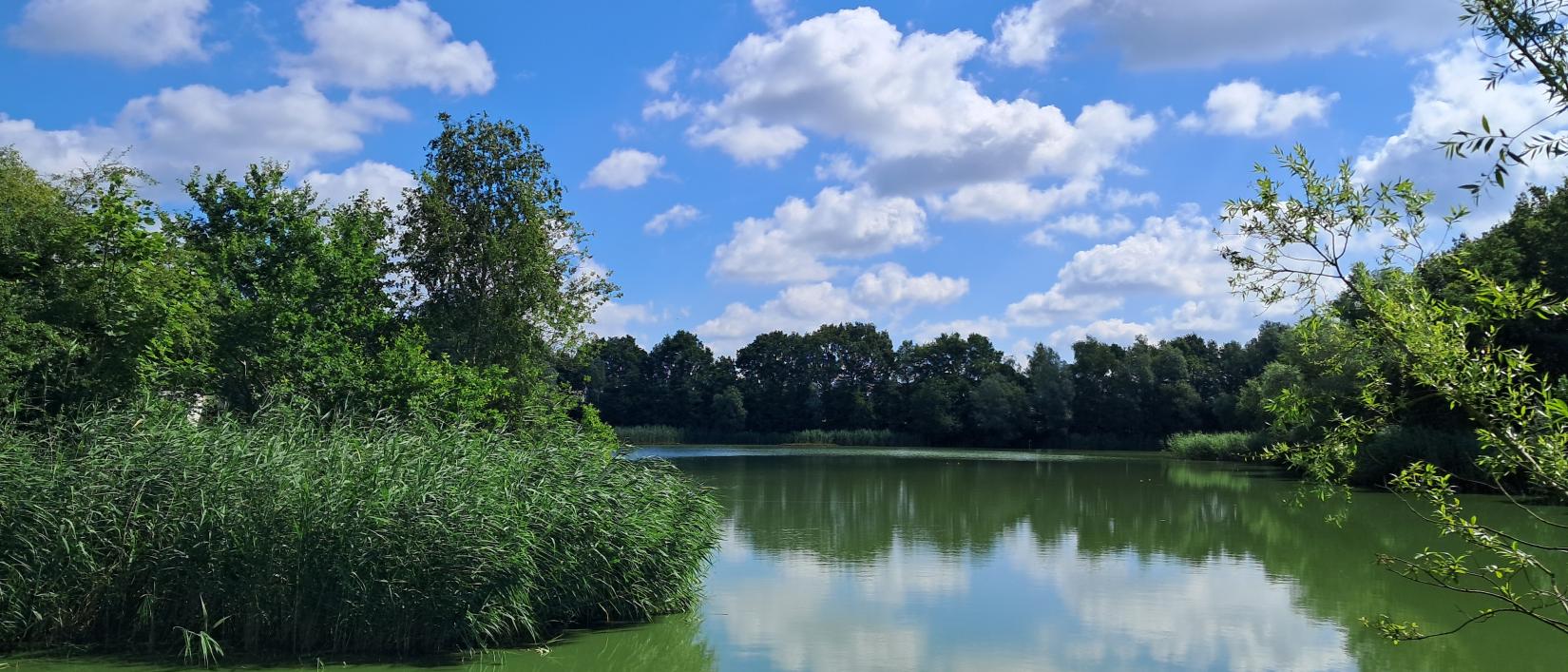 Bufferbekken Kleit-Maldegem