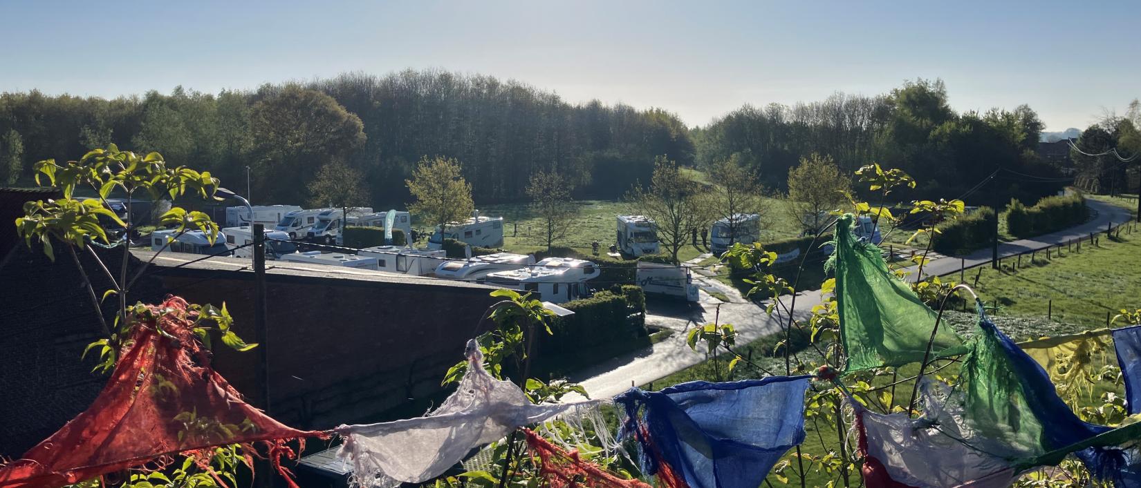 Dentergem Bloesem Midweek