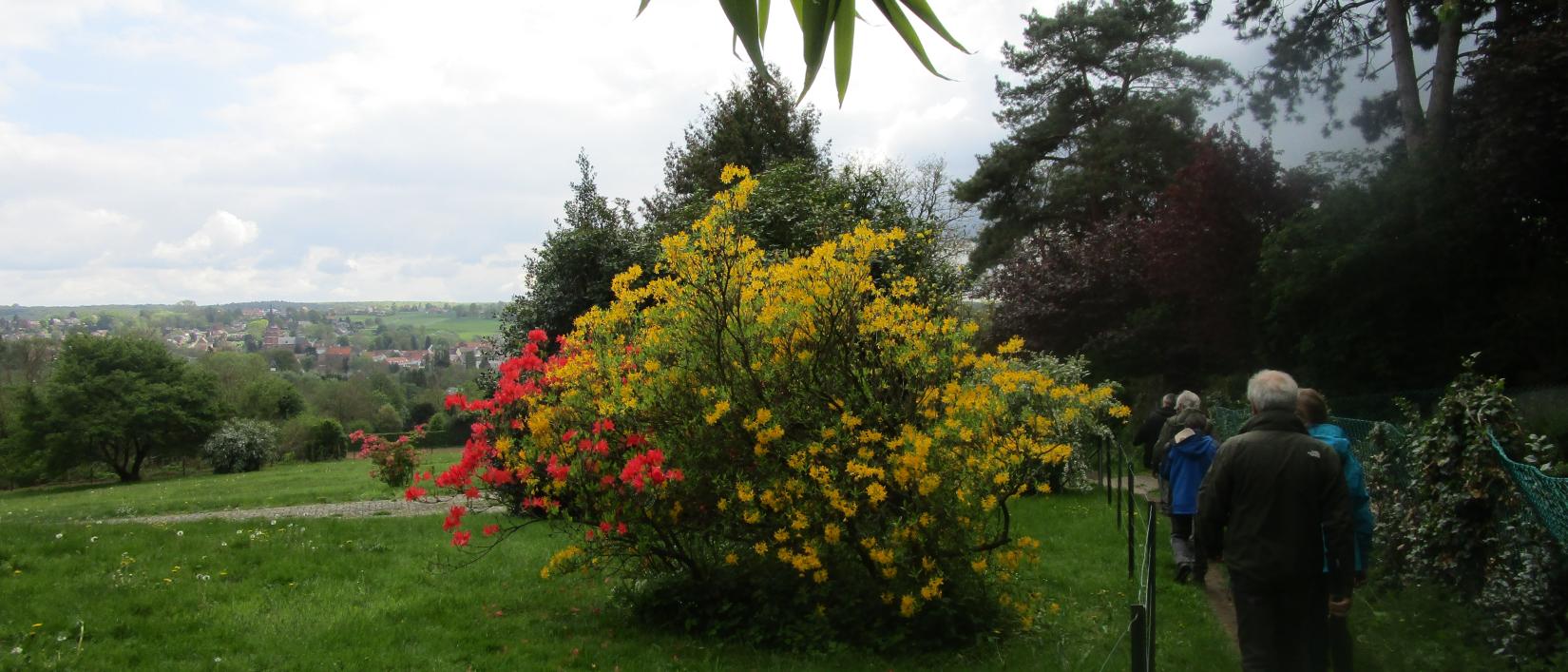 Landschap met fleurige struiken.