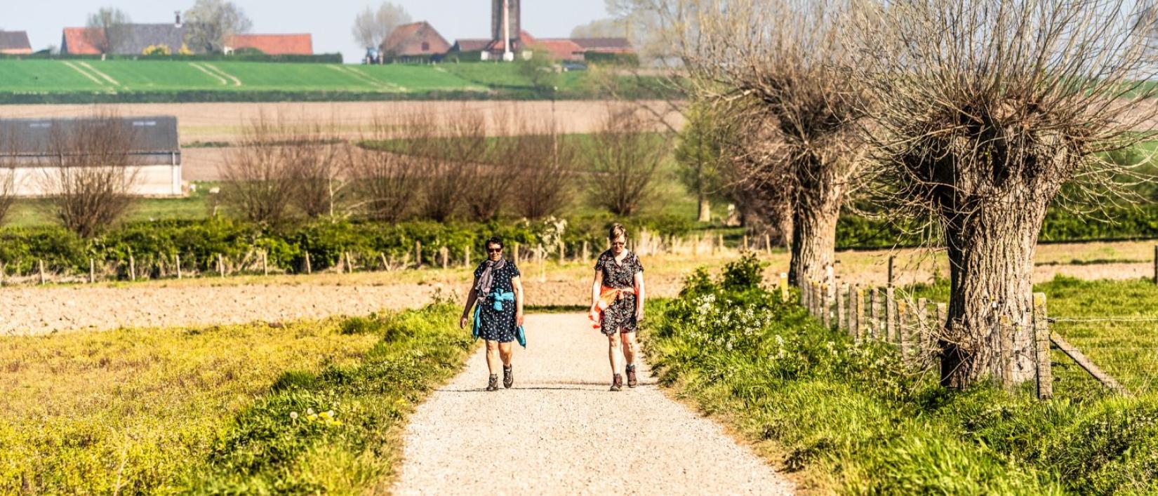 Wandelnetwerk Poelberg-Meikensbossen