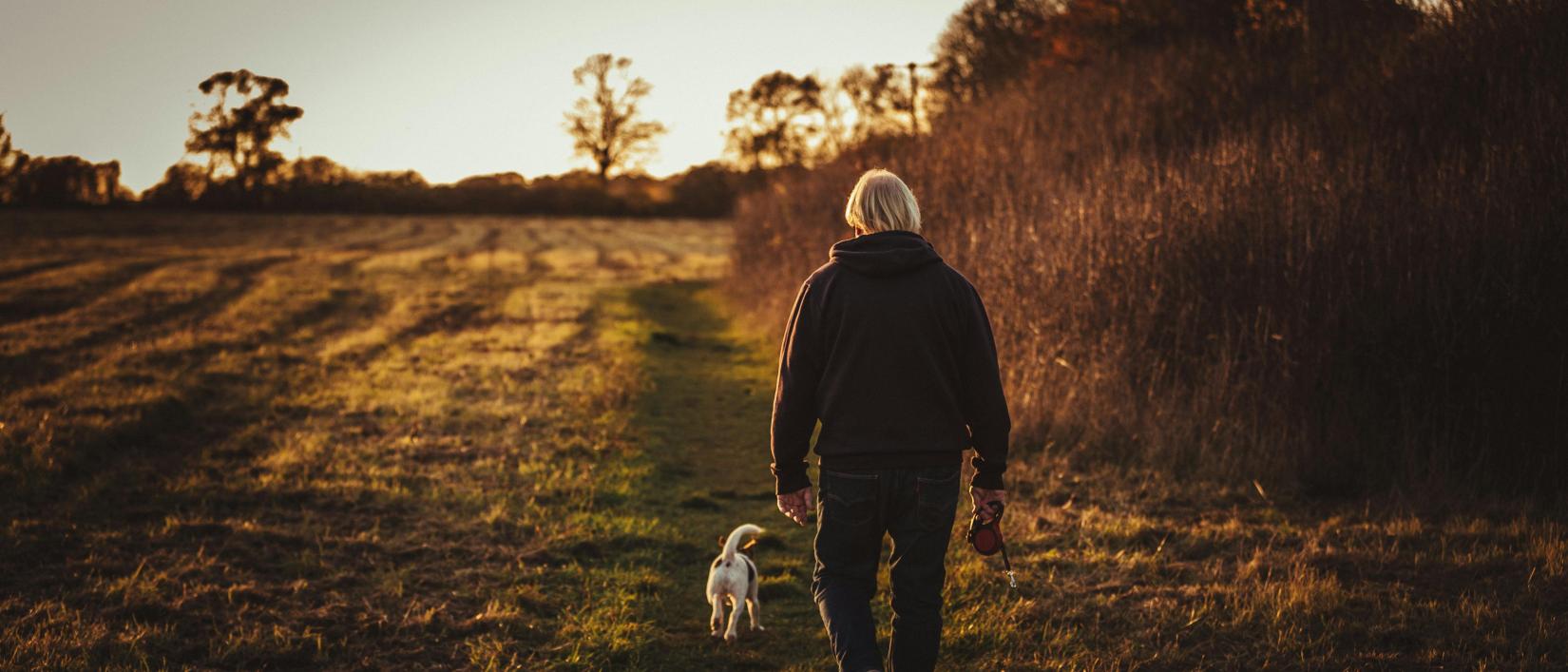 hond wandelen