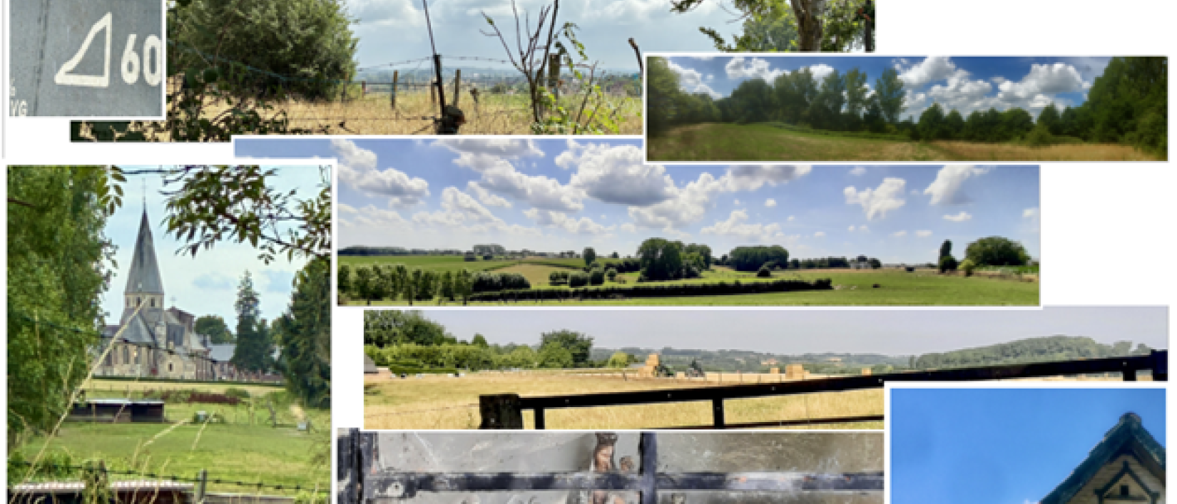 Dagwandeling