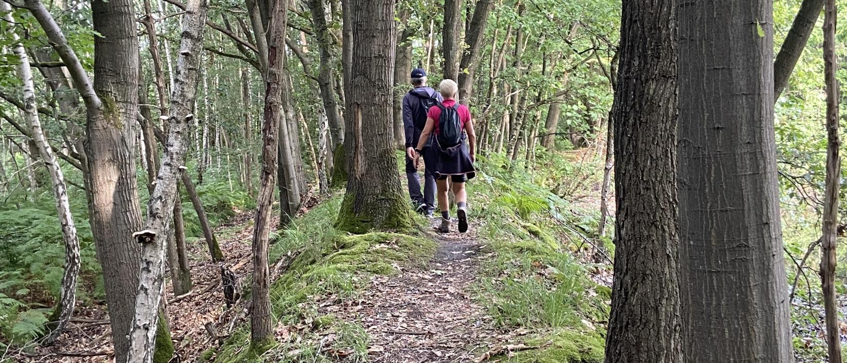 dagwandeling Gellik
