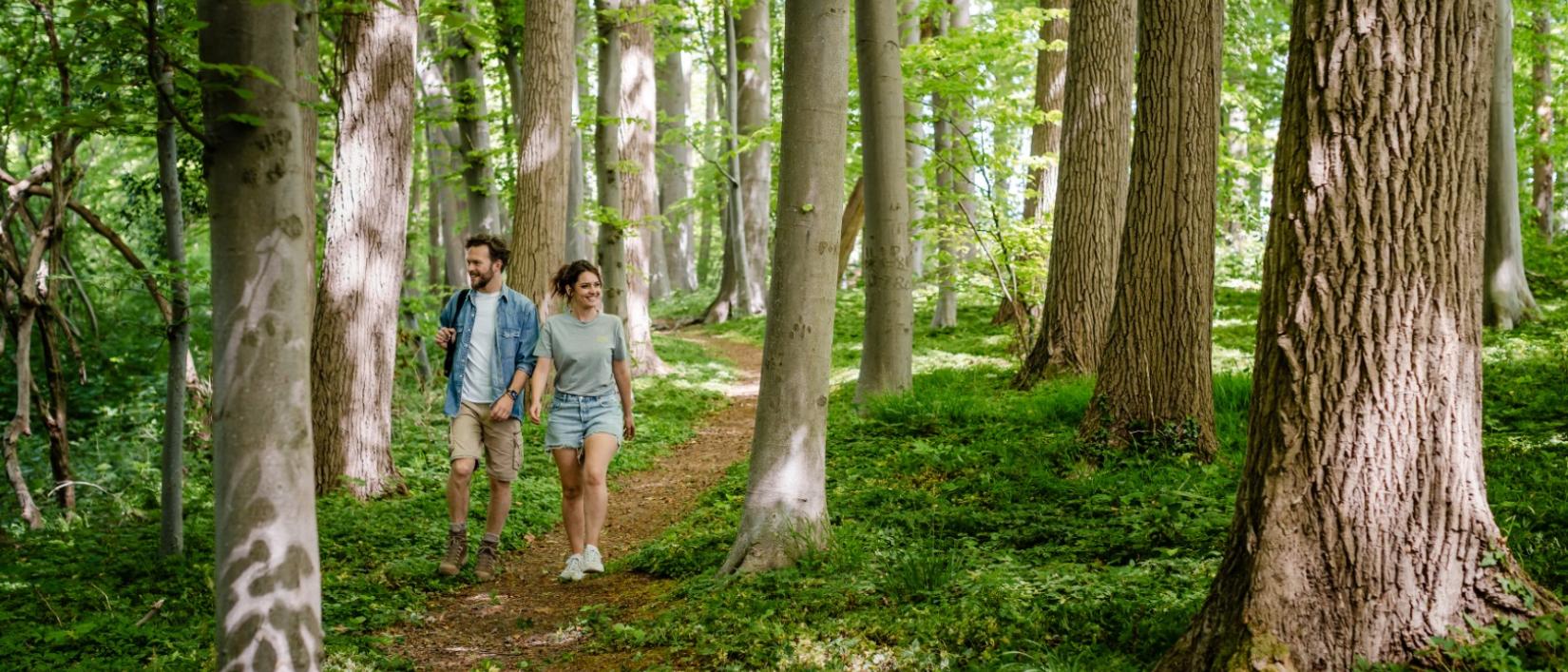 Wandelen Dendervallei Zuid
