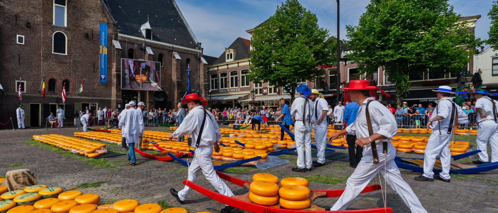 Kaasmarkt in Alkmaar