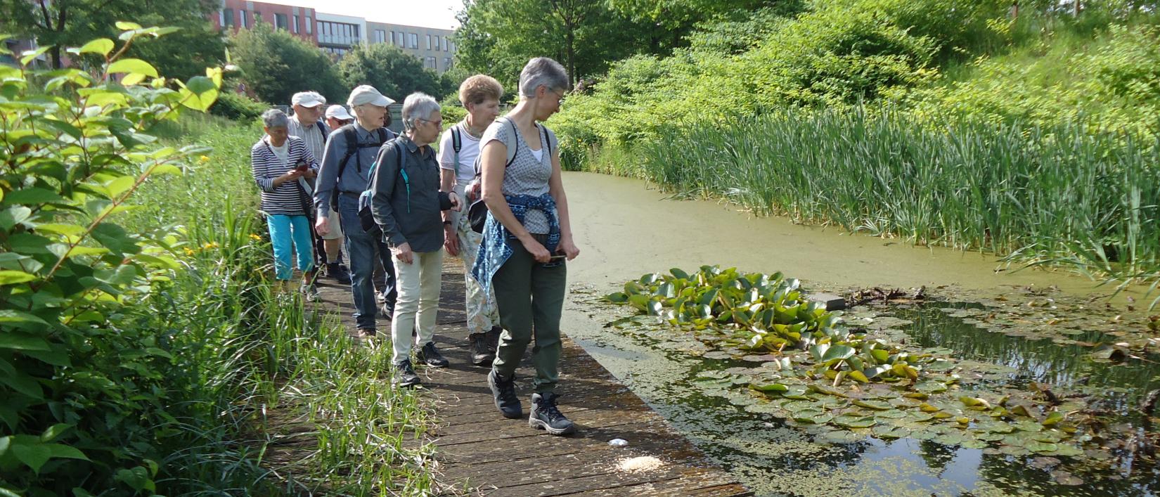 Met Pasar Zemst langs de Zenne