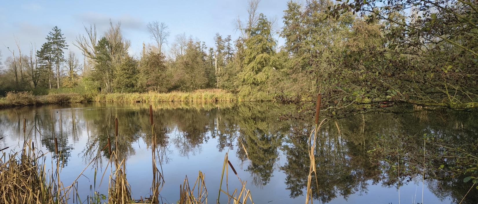 de damvallei in Destelbergen