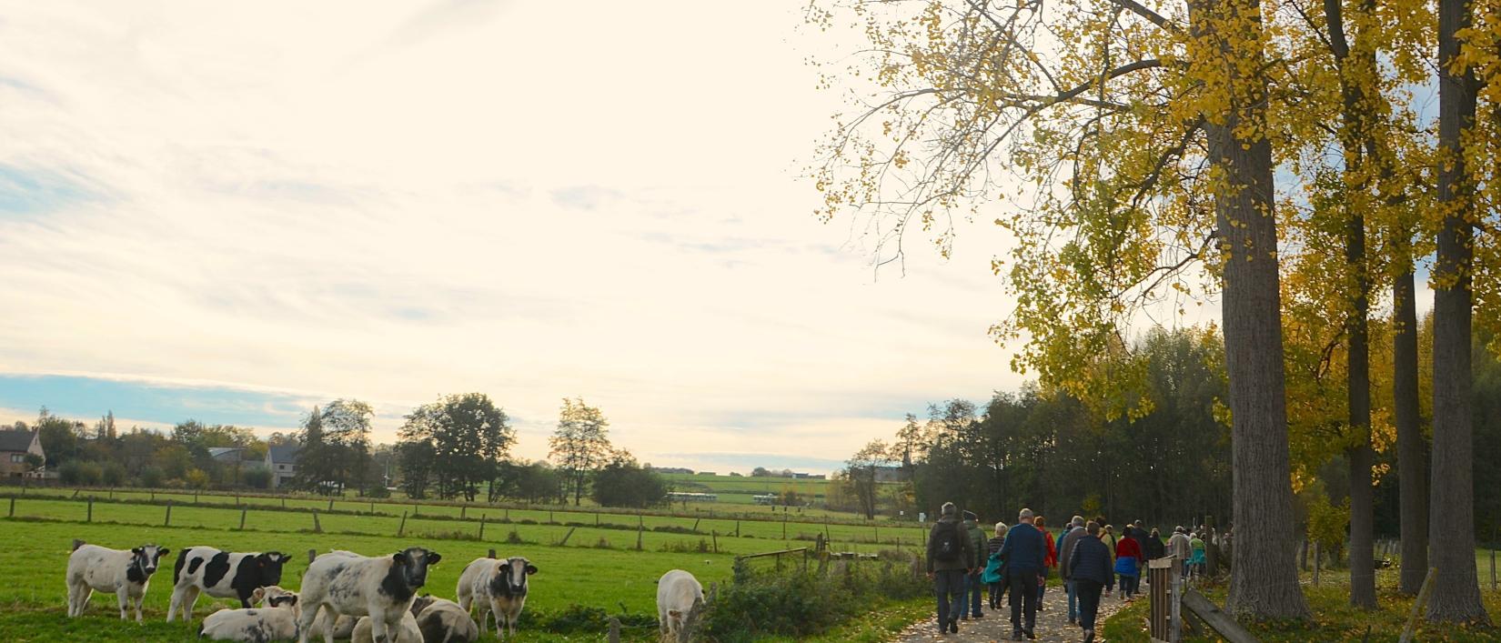 Bibbertocht Mazenzele