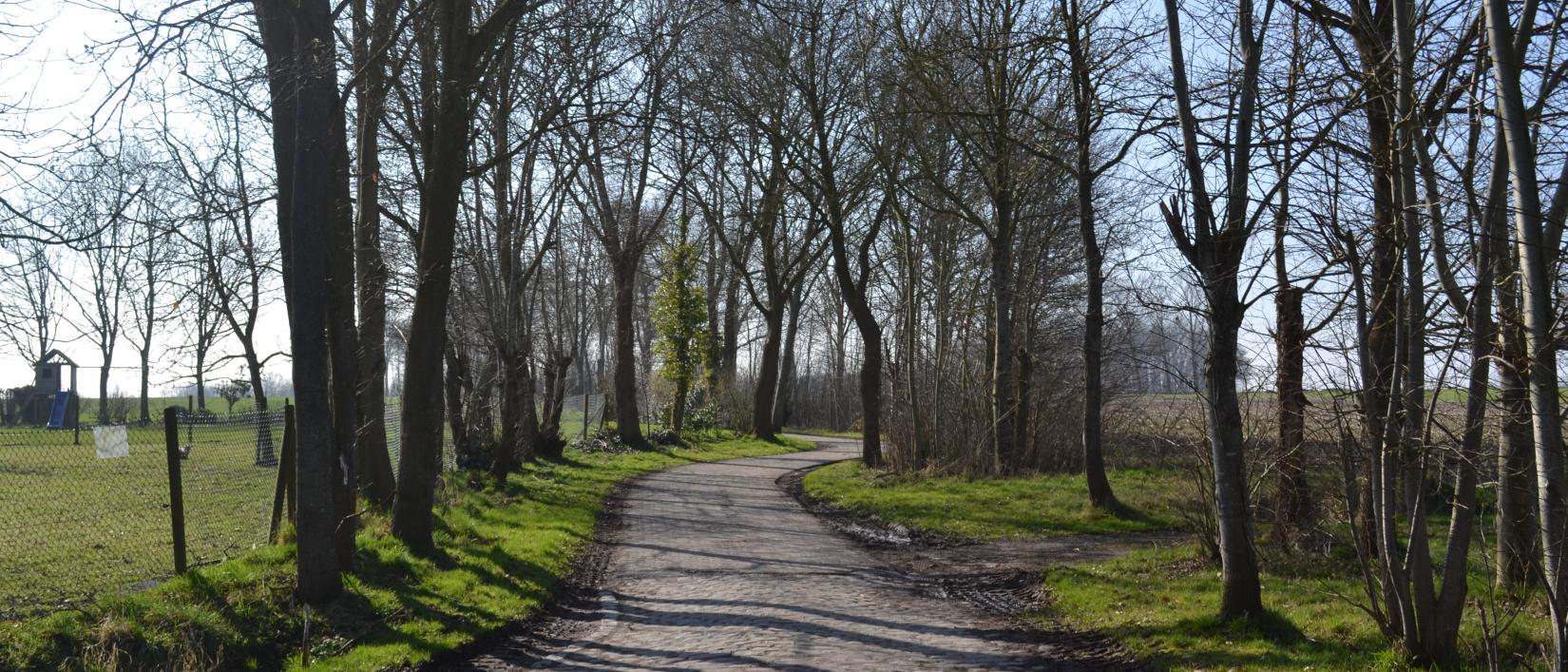 Kasseiweg naar top Meetjeslandse Cuesta