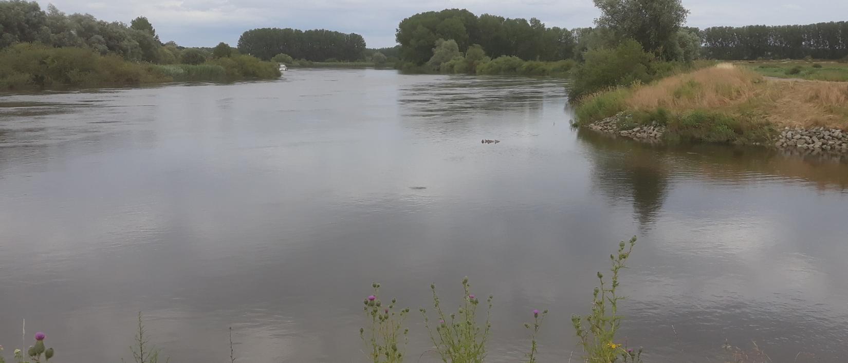 Zicht op de Schelde in Baasrode