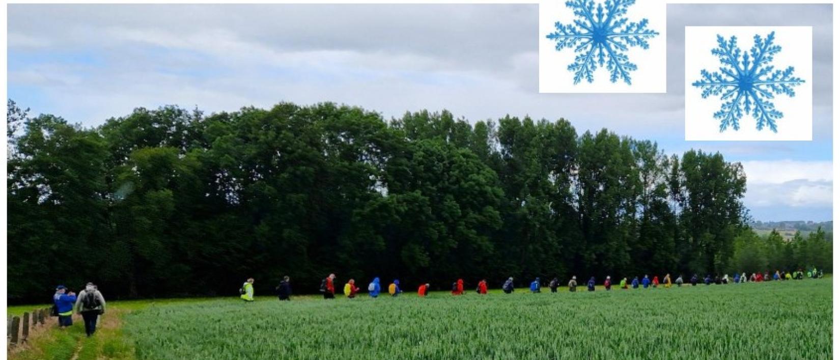 Wandelaars in de Vlaamse Ardennen