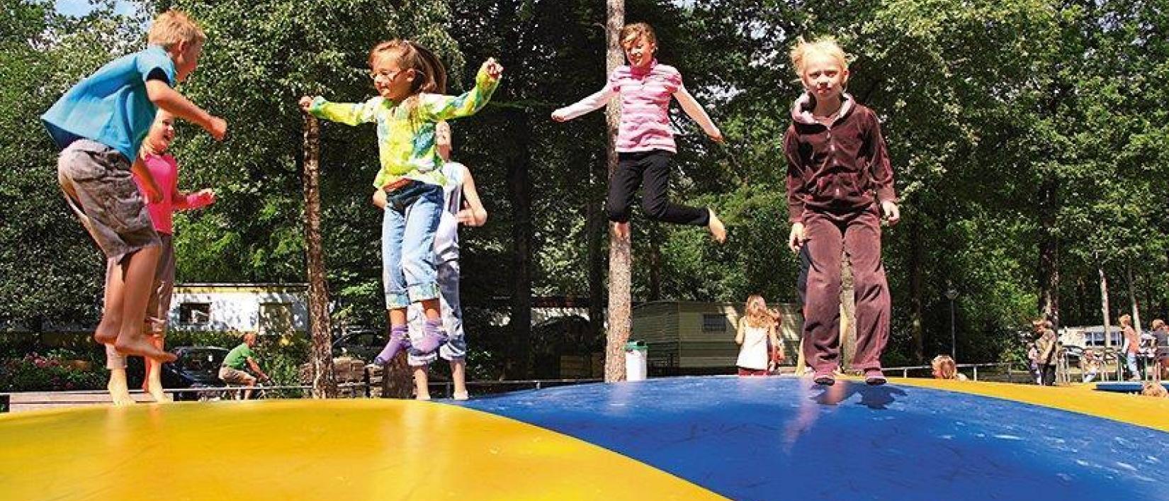 Hoofdfoto Familiecamping De Vossenburcht