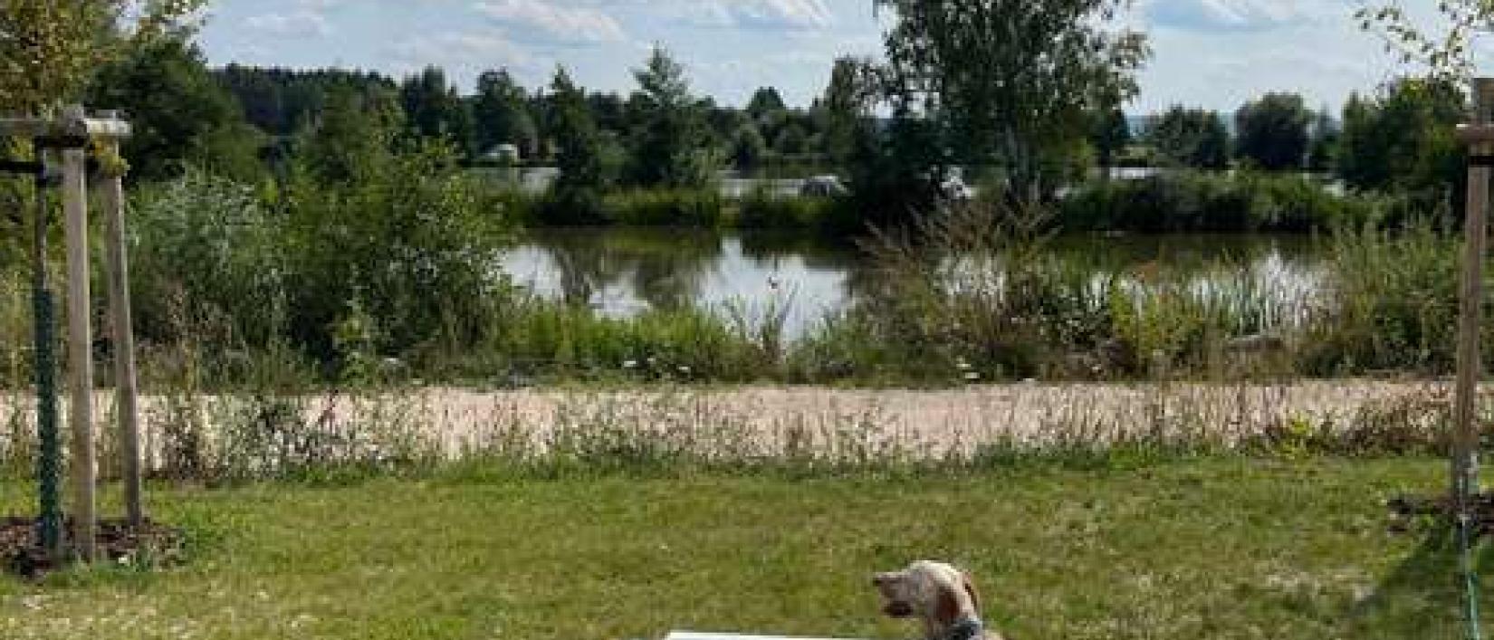 Hoofdfoto Camping Reich am Schnackensee