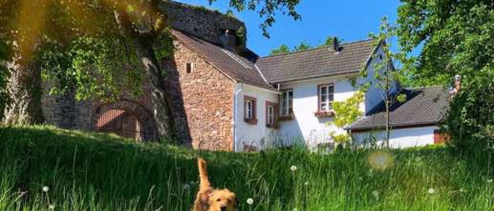 Hoofdfoto Bertradaburg Mürlenbach