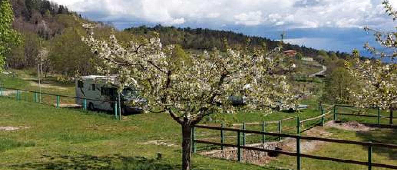 Hoofdfoto Pri Filetu