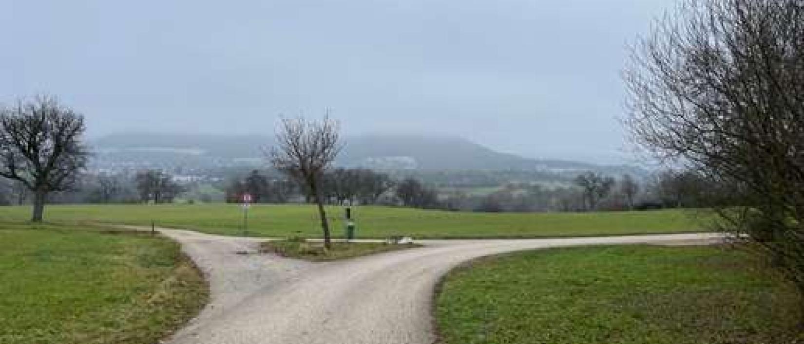 Hoofdfoto Gasthaus zur Tenne