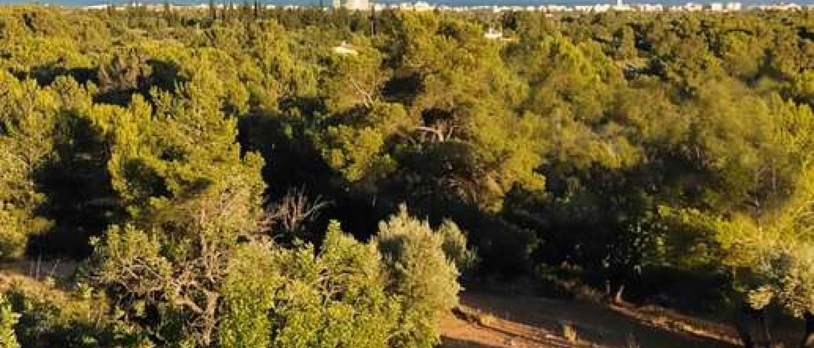 Hoofdfoto Finca Mialma
