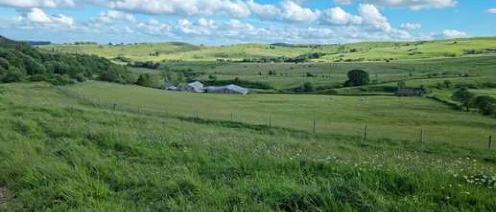 Hoofdfoto Thick Withins Farm Aire