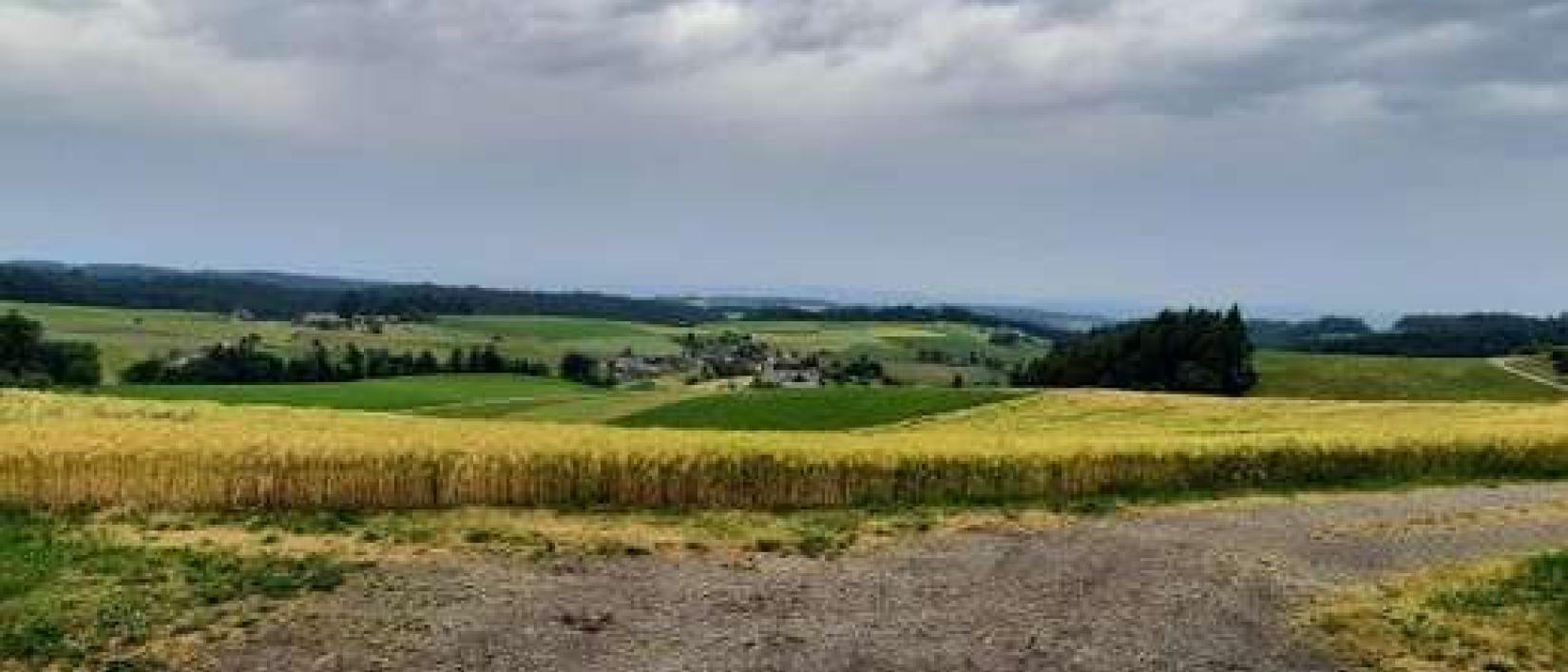 Hoofdfoto Landwirtschaftsbetrieb Käser