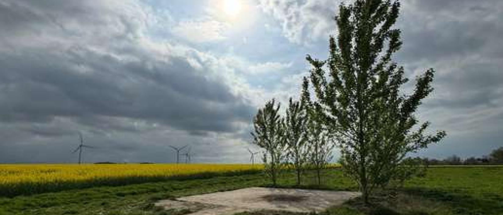 Hoofdfoto Stellplatz In der Heide