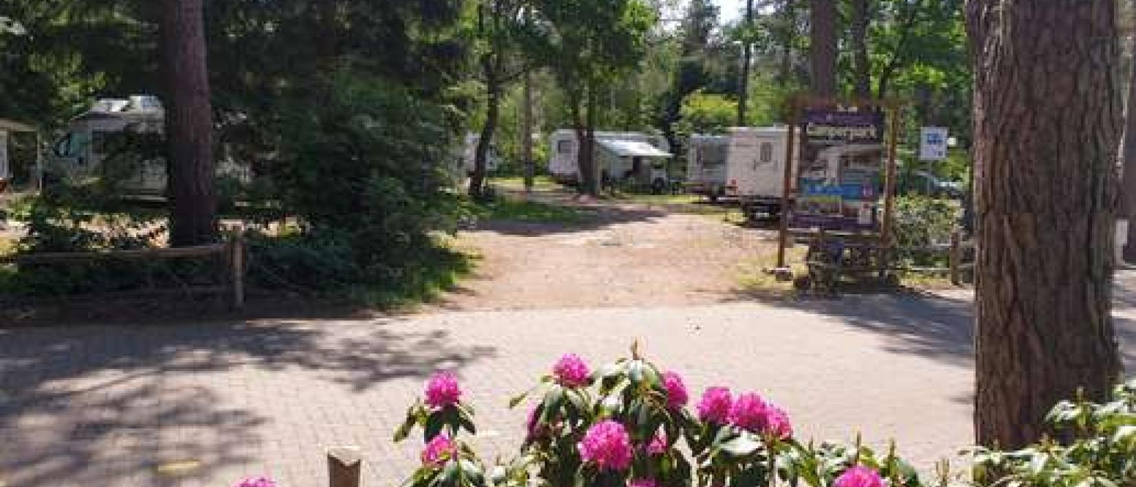 Hoofdfoto Camperpark Torentjeshoek