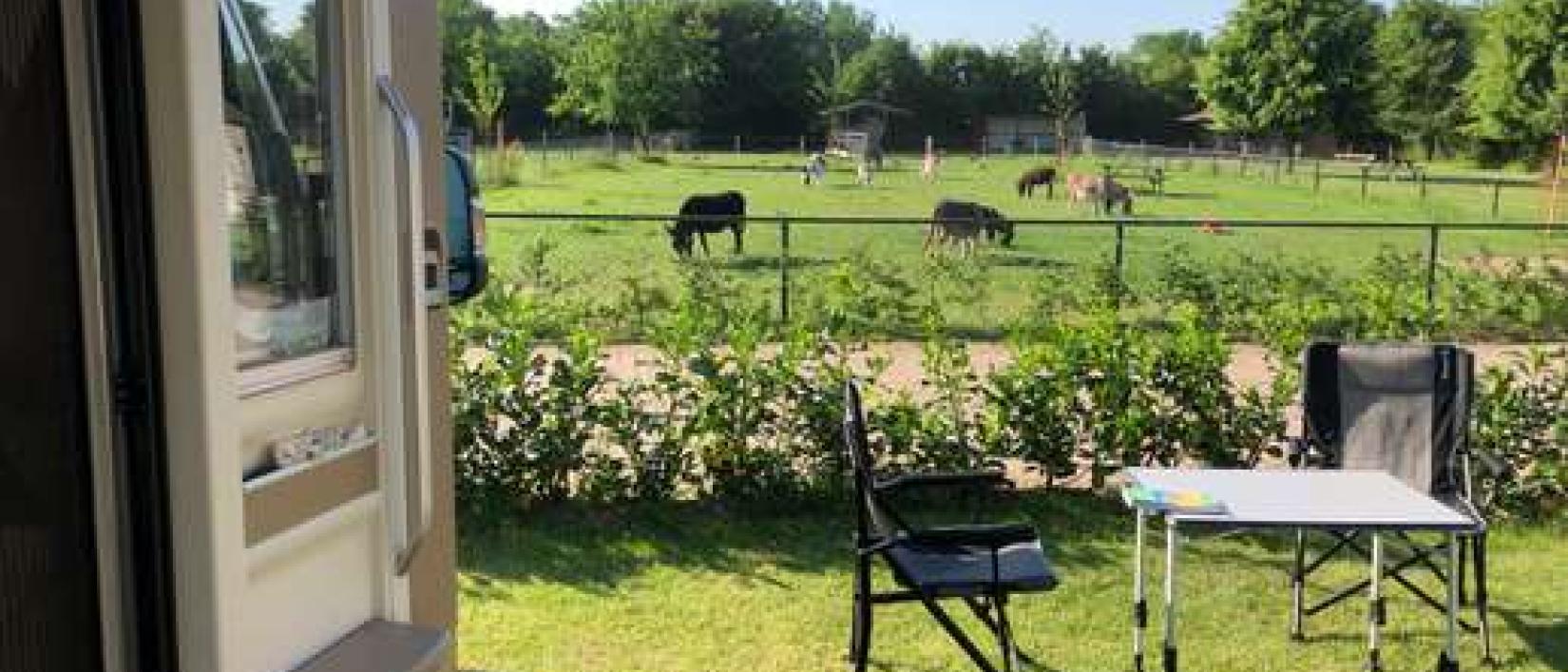 Hoofdfoto Camperplek de Maasheggen