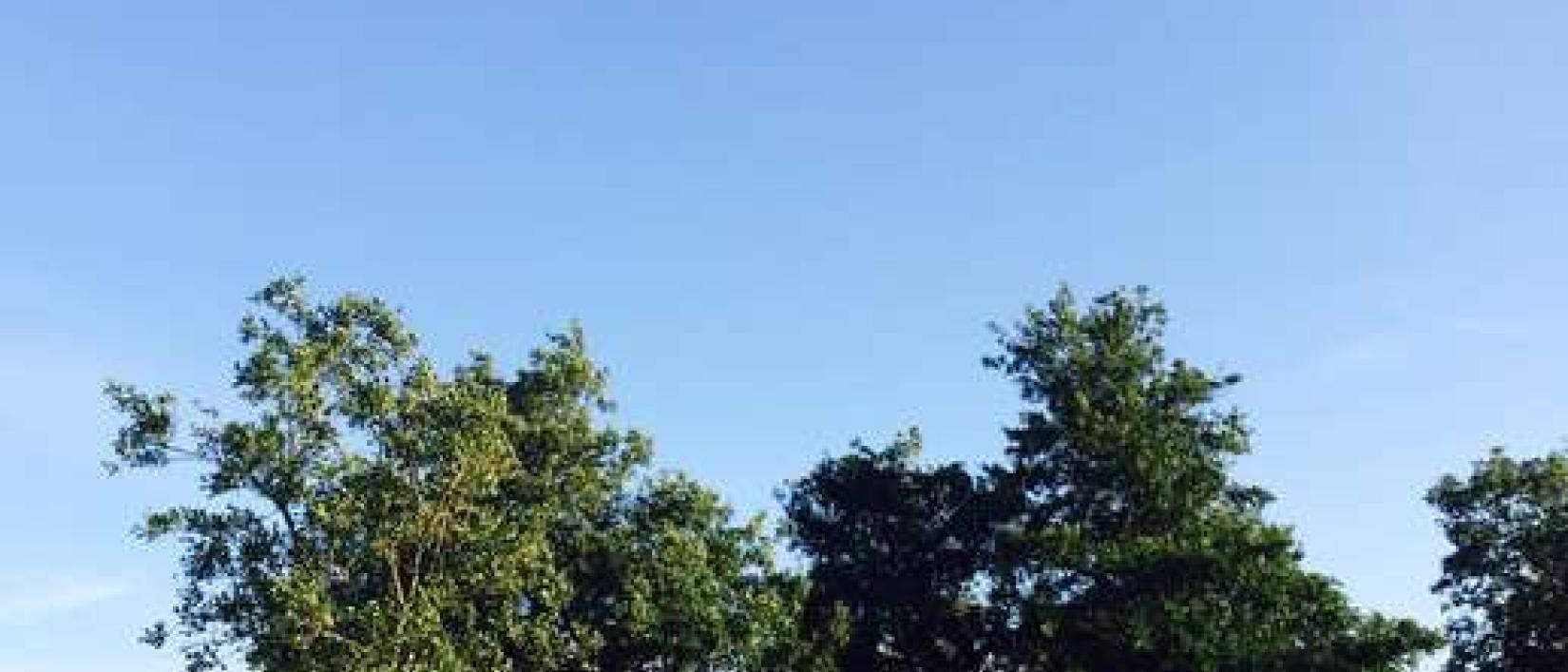 Hoofdfoto Ostsee-Camping Gut Ludwigsburg