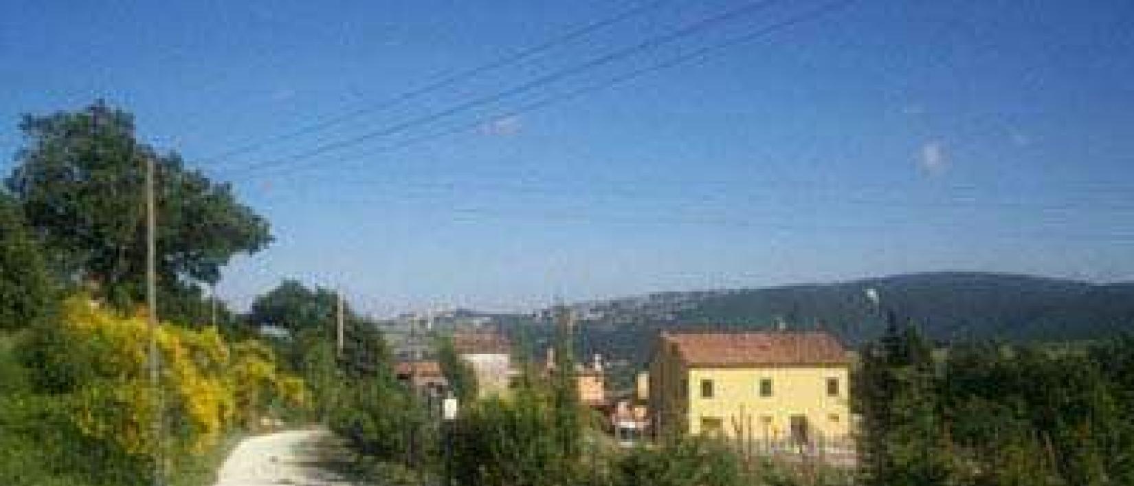 Hoofdfoto Area Ziamelia