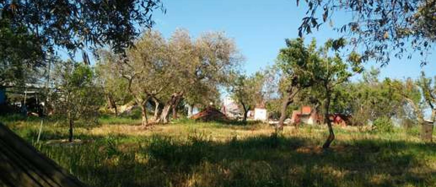 Hoofdfoto Agriturismo Monte del Vento