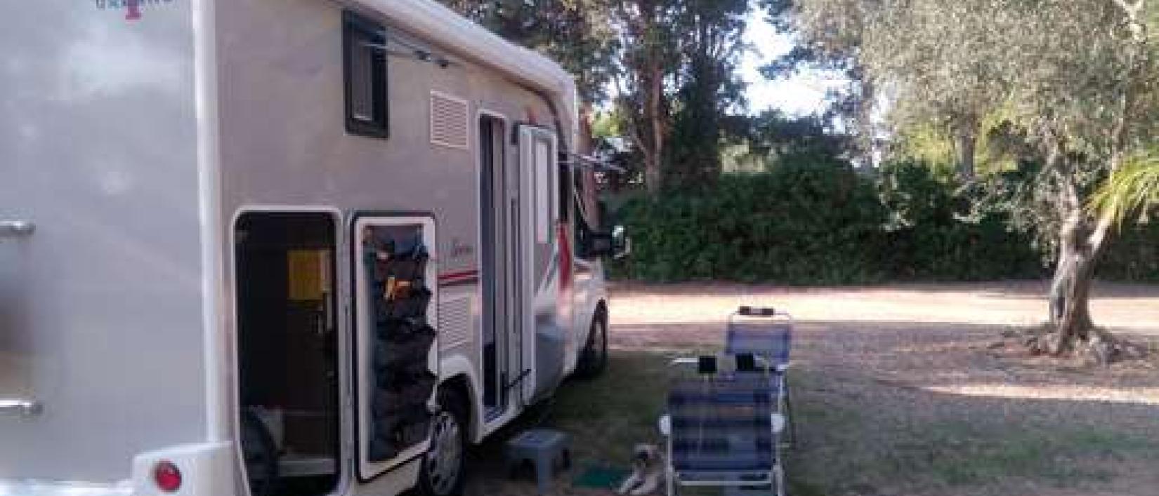 Hoofdfoto Azienda Agrituristica 2 Palme