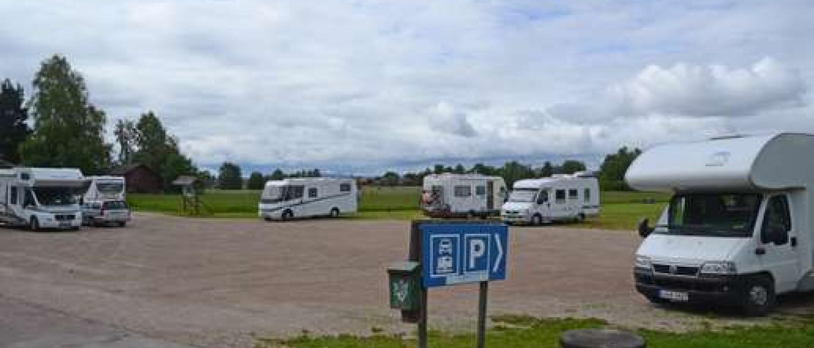 Hoofdfoto Nils Olsson Dalahästar