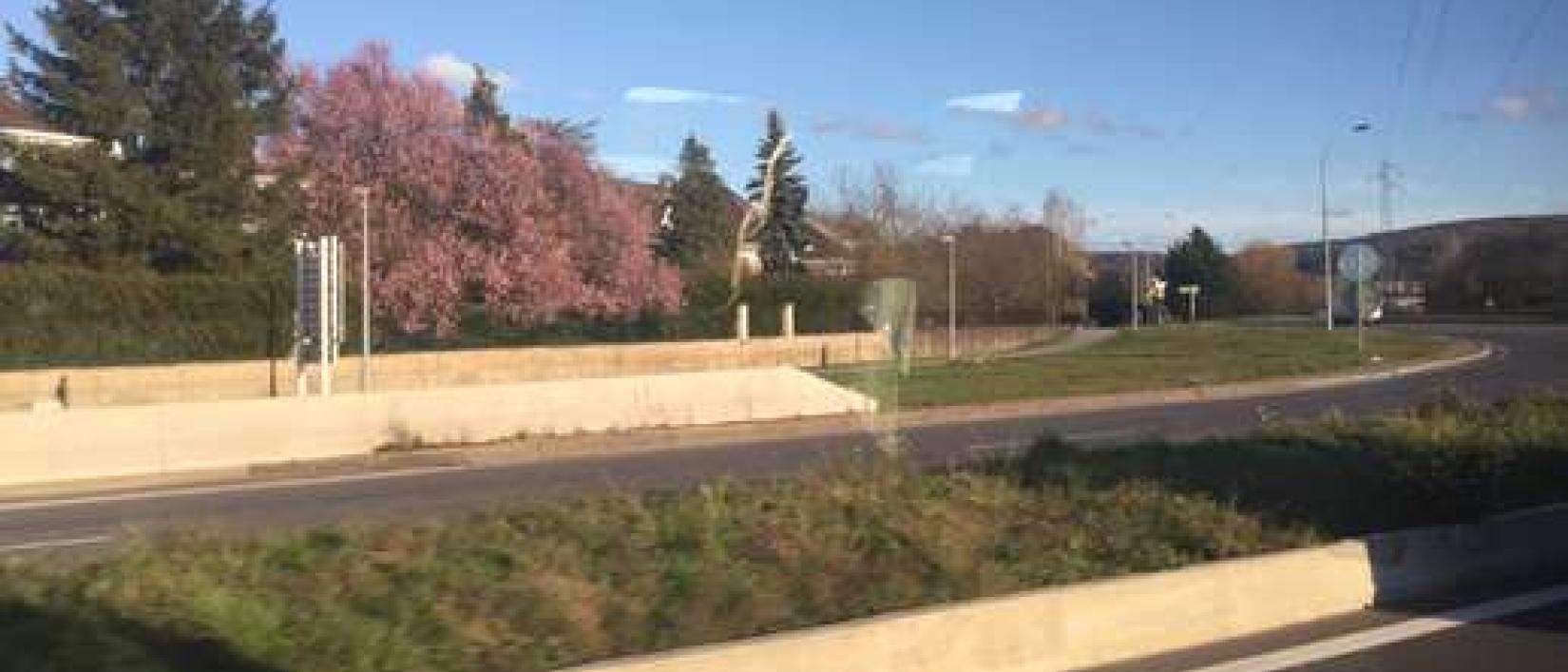 Hoofdfoto Aire Municipale