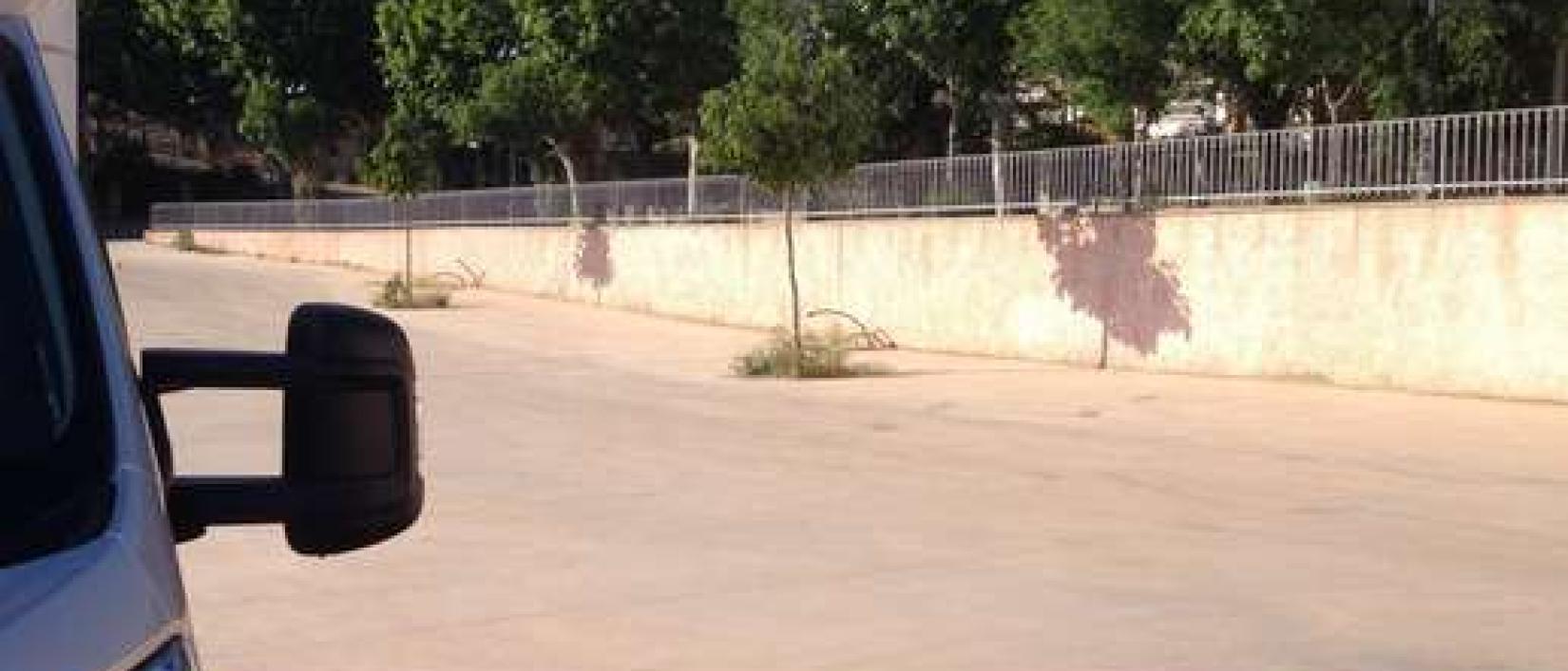 Hoofdfoto Parcheggio Comunale