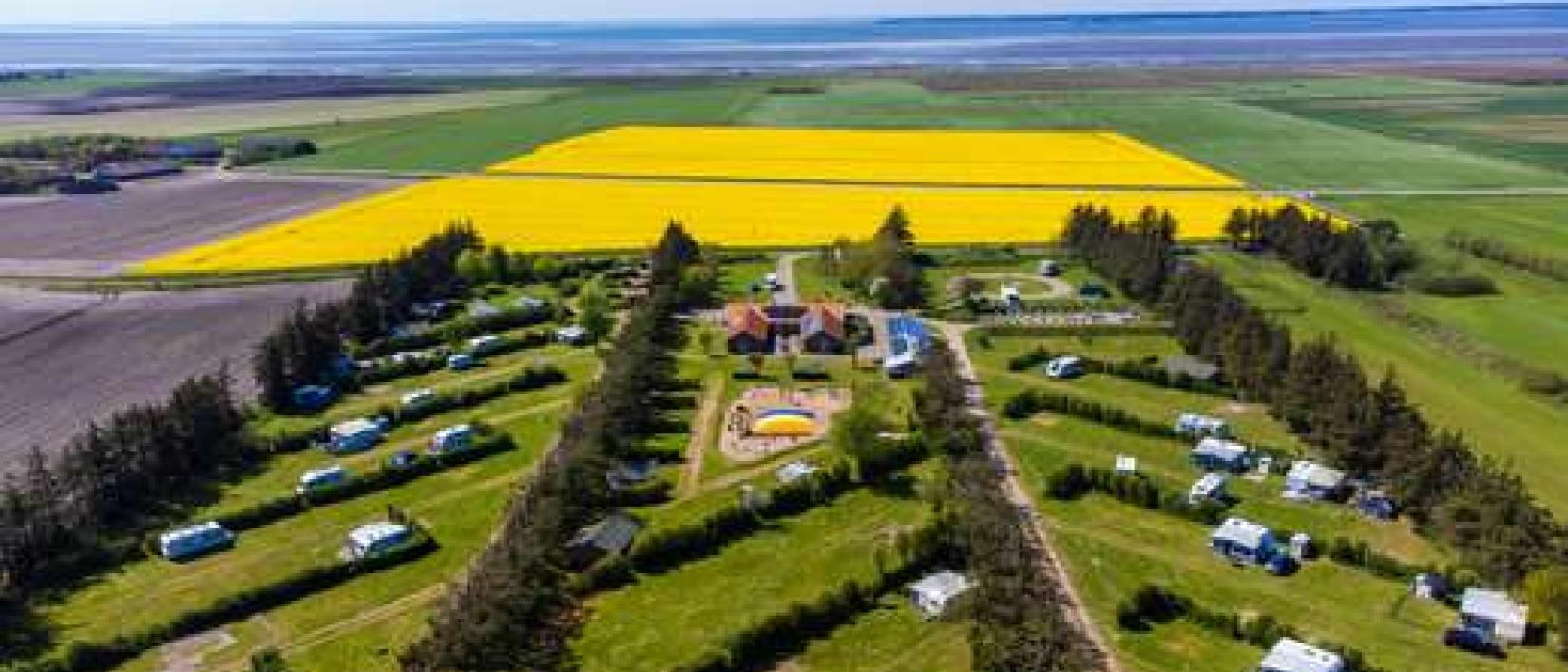 Hoofdfoto Ballum Camping