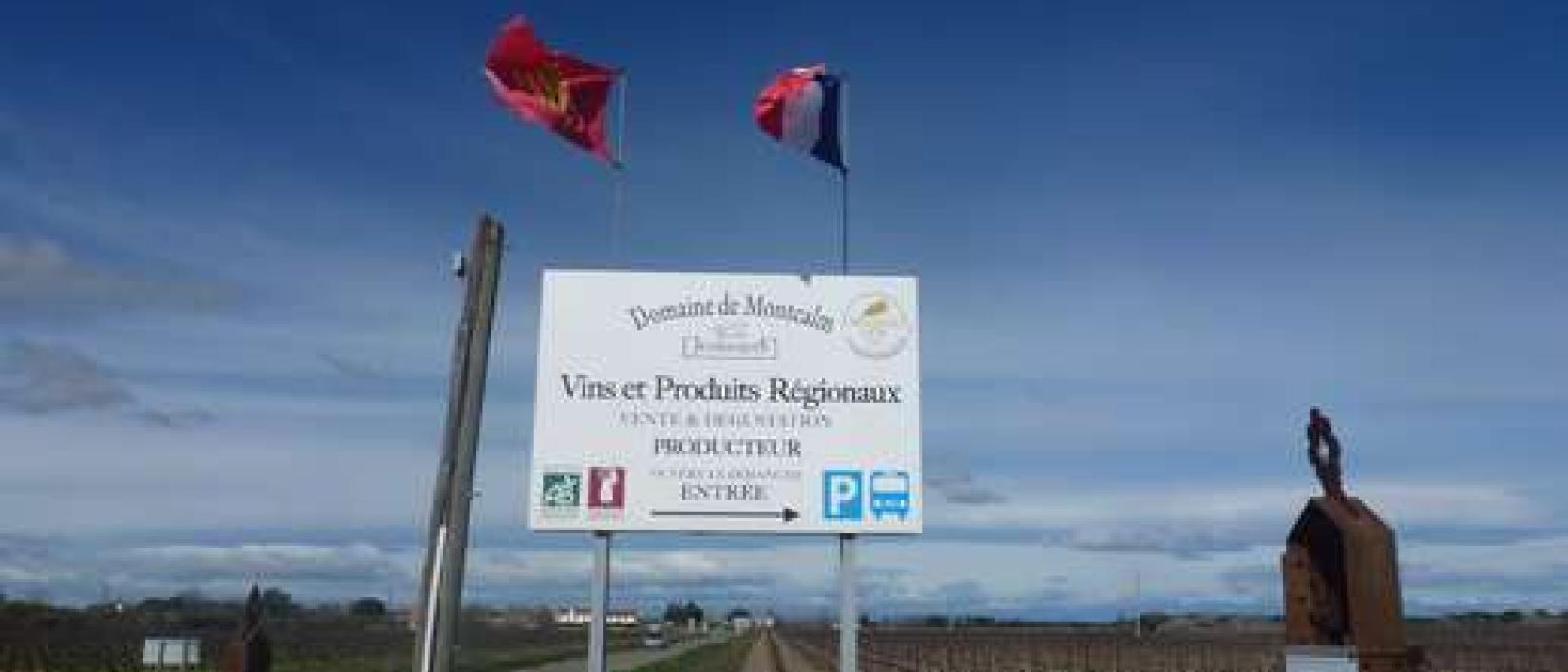 Hoofdfoto Domaine de Montcalm