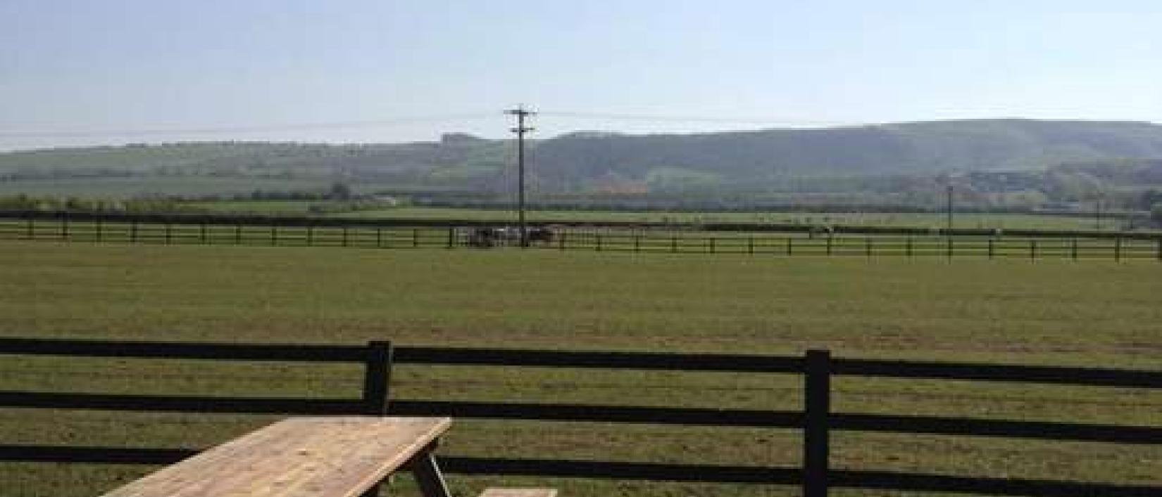 Hoofdfoto The Fox and Hounds