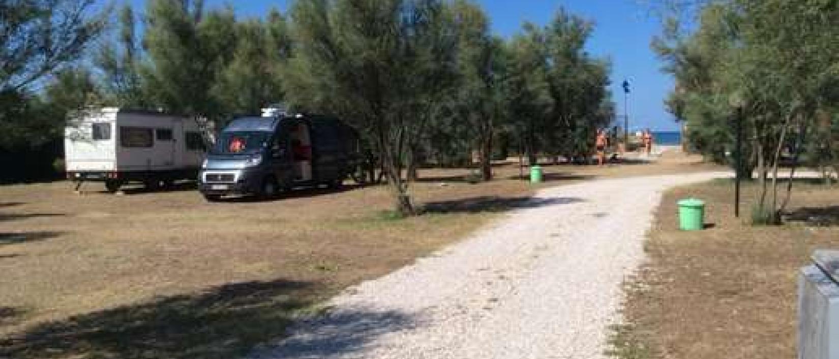 Hoofdfoto Area di Sosta Gli Eucalipti