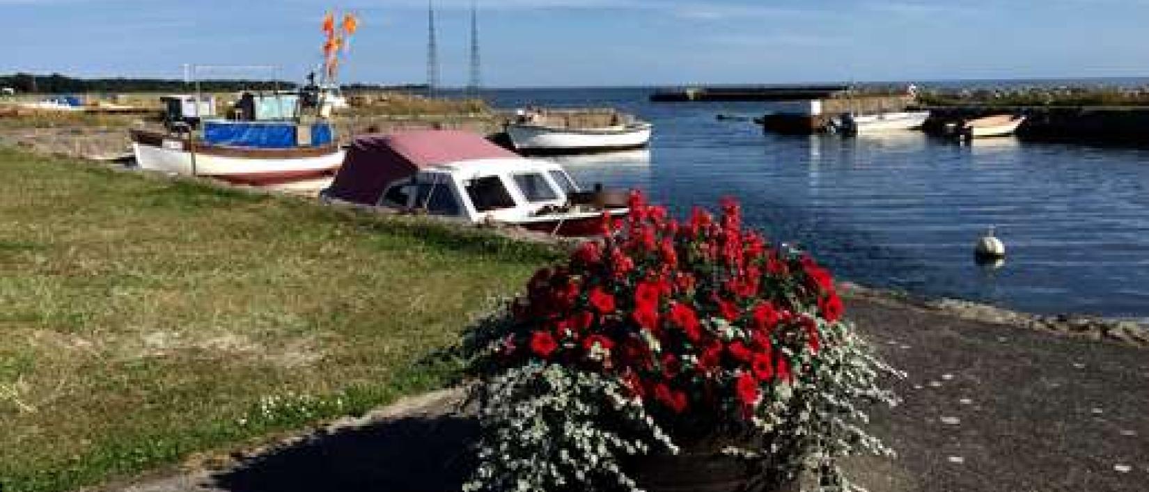 Hoofdfoto Torsö Hamn