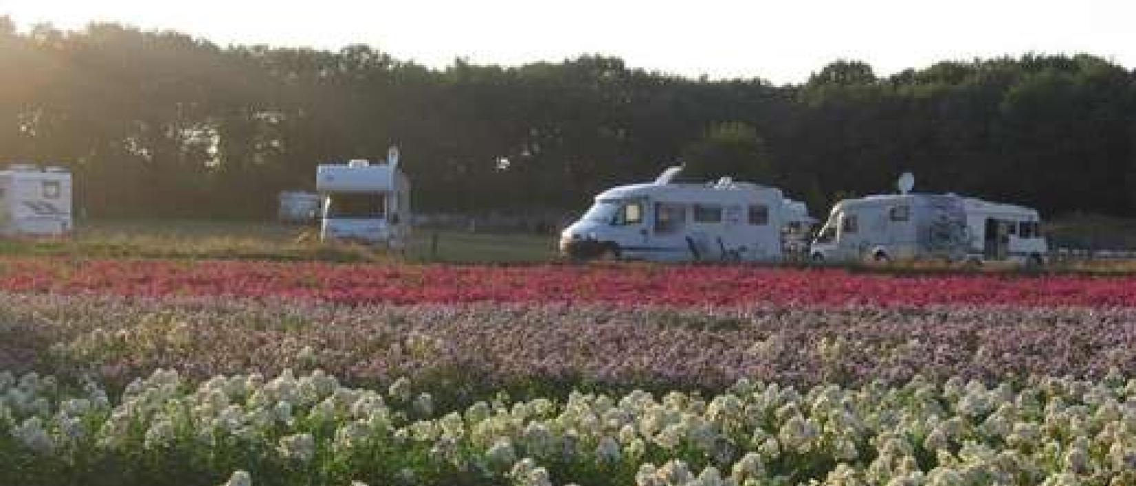 Hoofdfoto Camperplaats Dagstrand Seurenheide