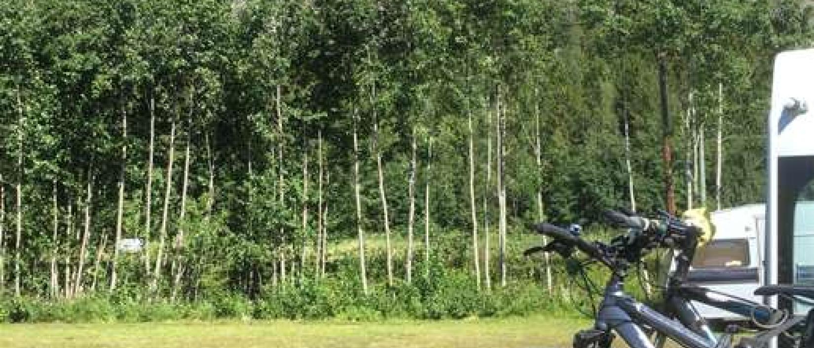 Hoofdfoto Hoverbergsgrottan Camping