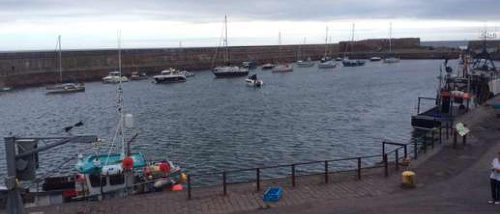 Hoofdfoto Coach Park - Dunbar Road