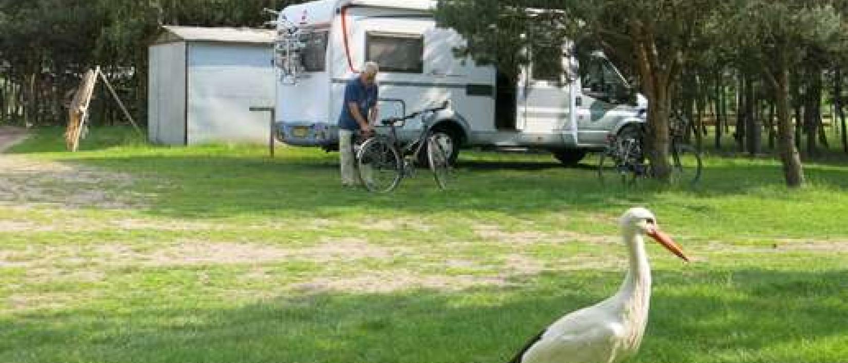 Hoofdfoto Ranczo Arka