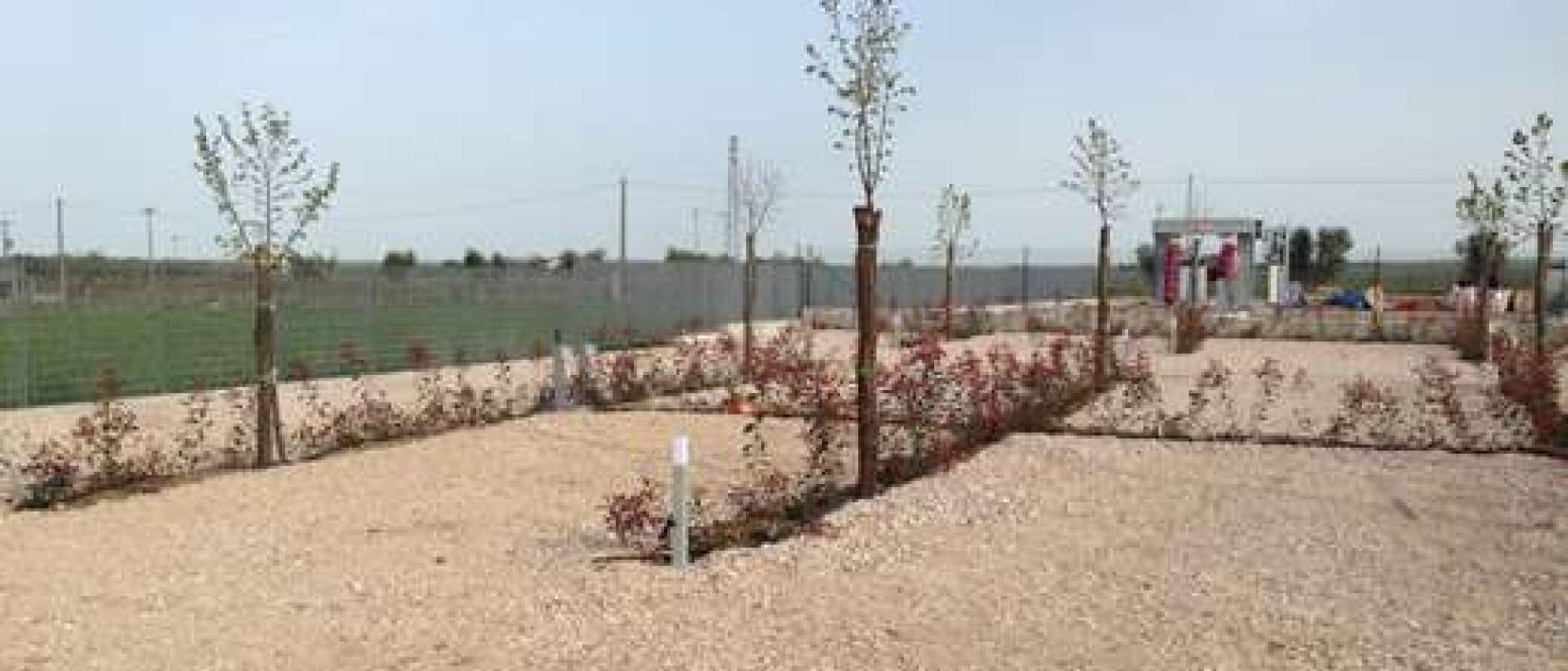 Hoofdfoto Area Sosta Camper Venusia