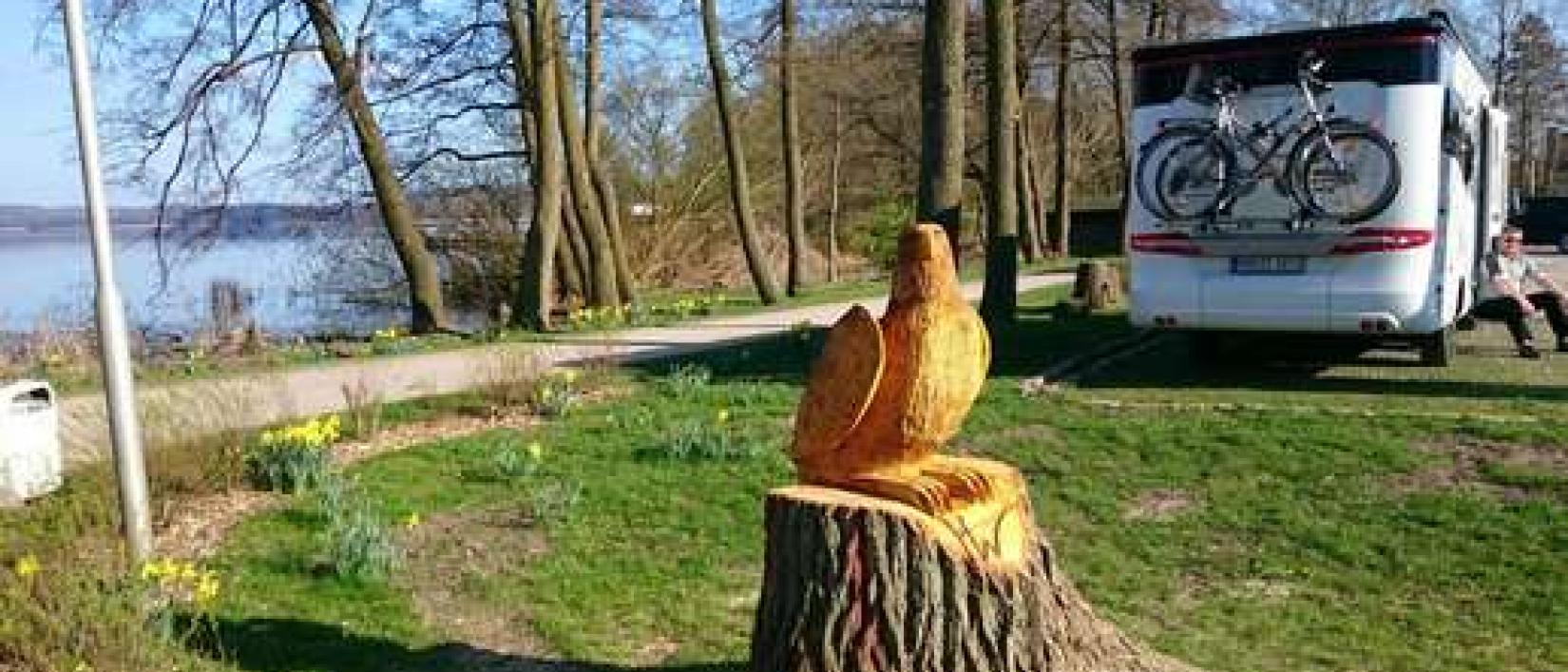 Hoofdfoto Parkplatz Janusallee