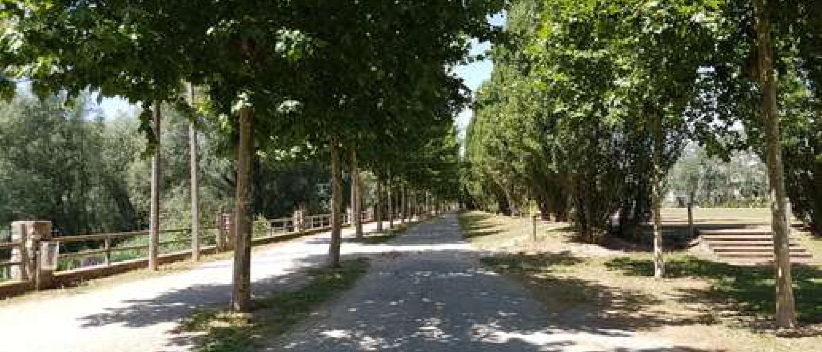 Hoofdfoto Manlleu vora del Ter